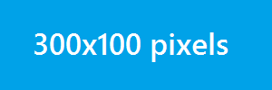 300x100.png